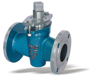 ������ϵ��